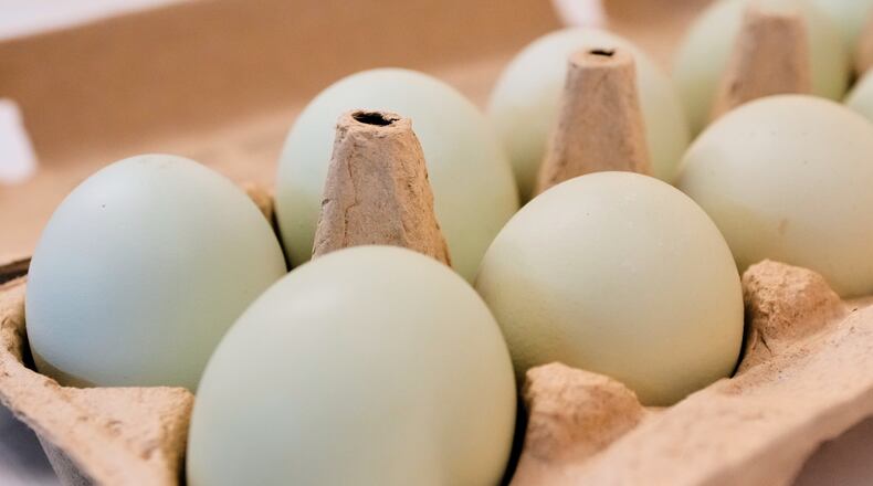 FILE - A carton of eggs is pictured in Farmers Branch, Texas, on Oct. 21, 2025. (AP Photo/Tony Gutierrez, File)