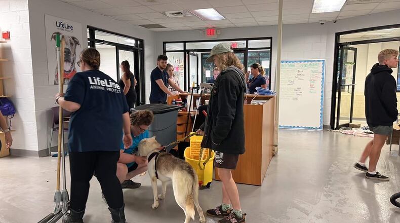Workers cleaned up a water leak and removed 80 dogs from LifeLine Animal Project's Midtown Atlanta shelter over the weekend of July 22-23.