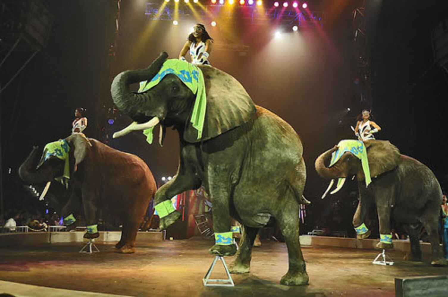 Universoul Circus arrives at Turner Field