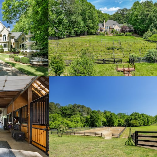 Featured just outside of Atlanta in the town of Milton, this massive mansion comes with its own ranch and its own vineyard.
Courtesy of Interluxe Auctions