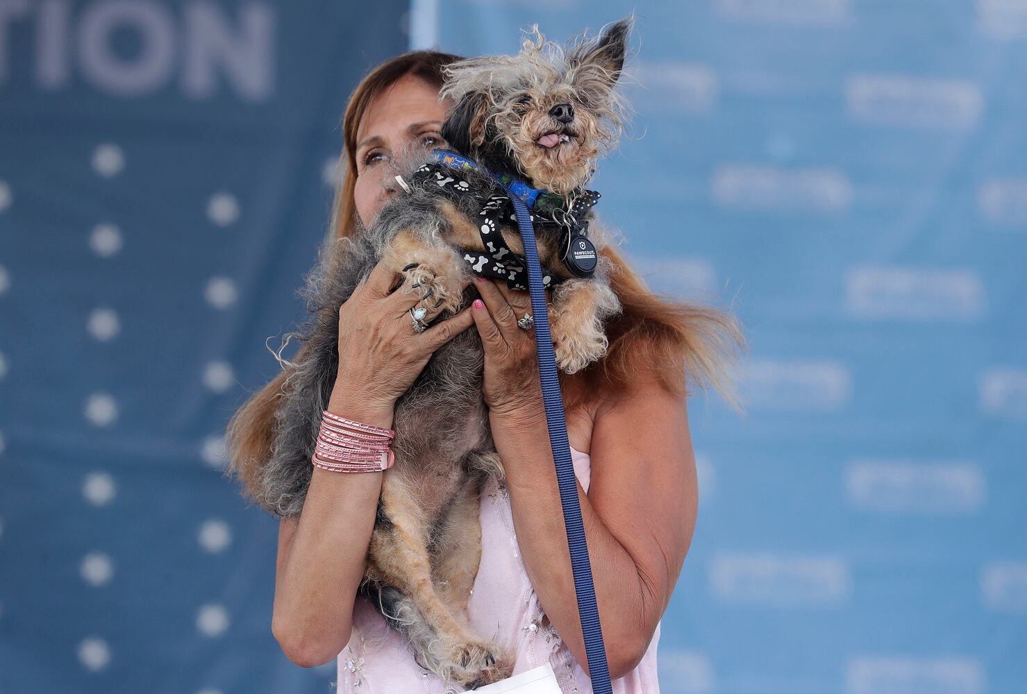 Photos: Zsa Zsa the English bulldog wins World's Ugliest Dog Contest