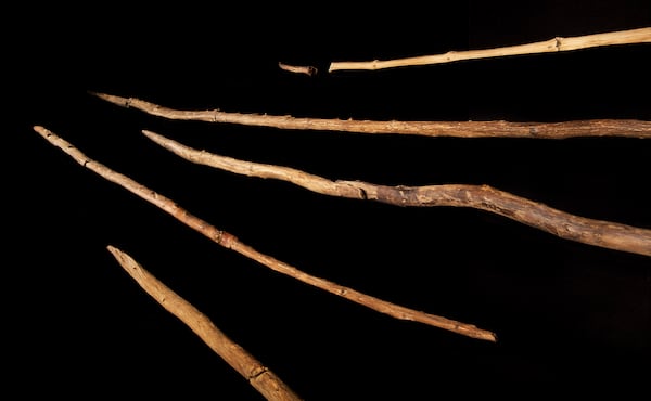 This 2014 photo provided by researchers shows a set of wooden hunting spears estimated to be about 200,000 years old discovered in a coal mine in the German town of Schöningen. (Volker Minkus/Niedersächsisches Landesamt für Denkmalpflege via AP)