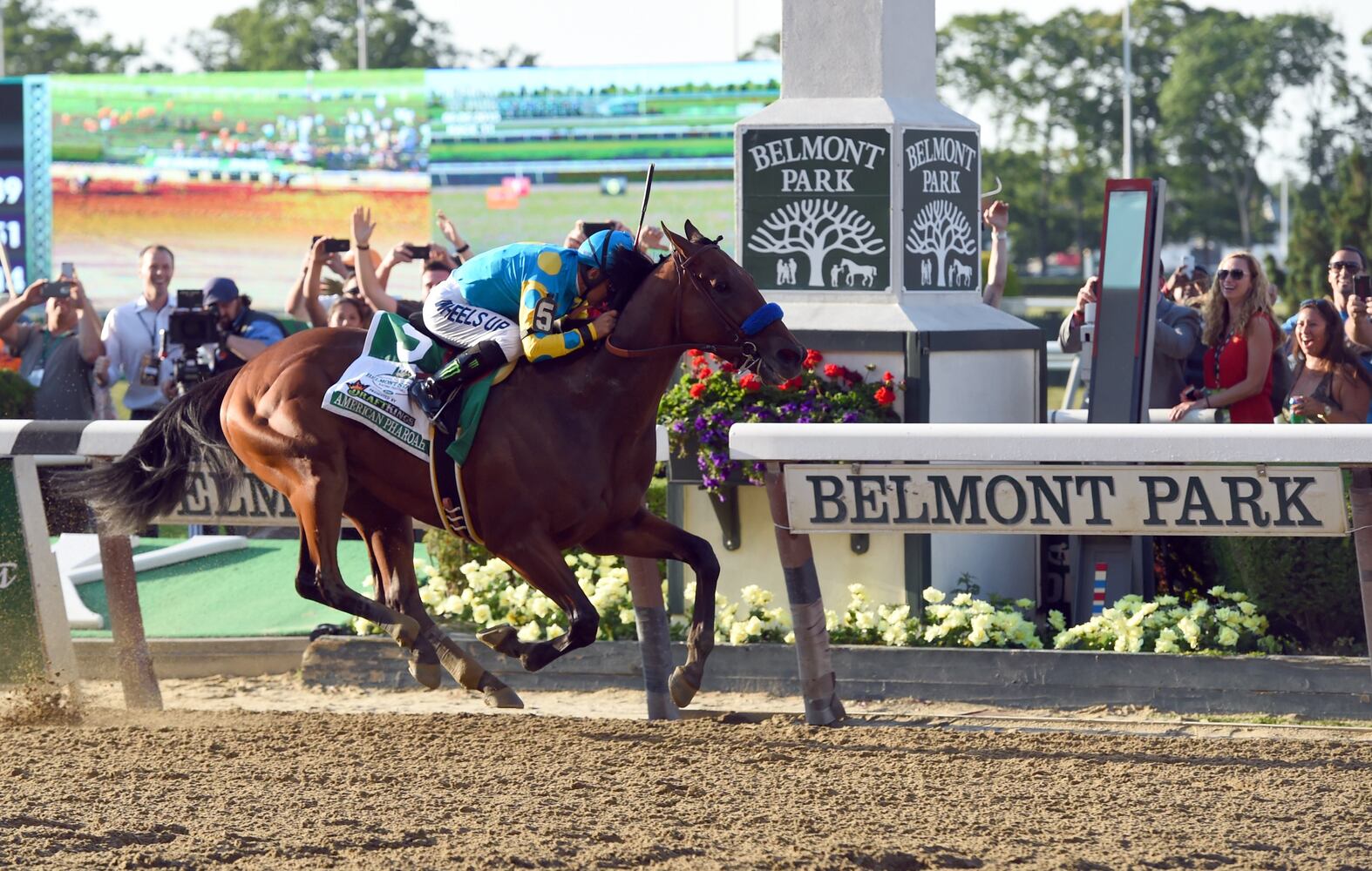 American Pharoah wins Triple Crown