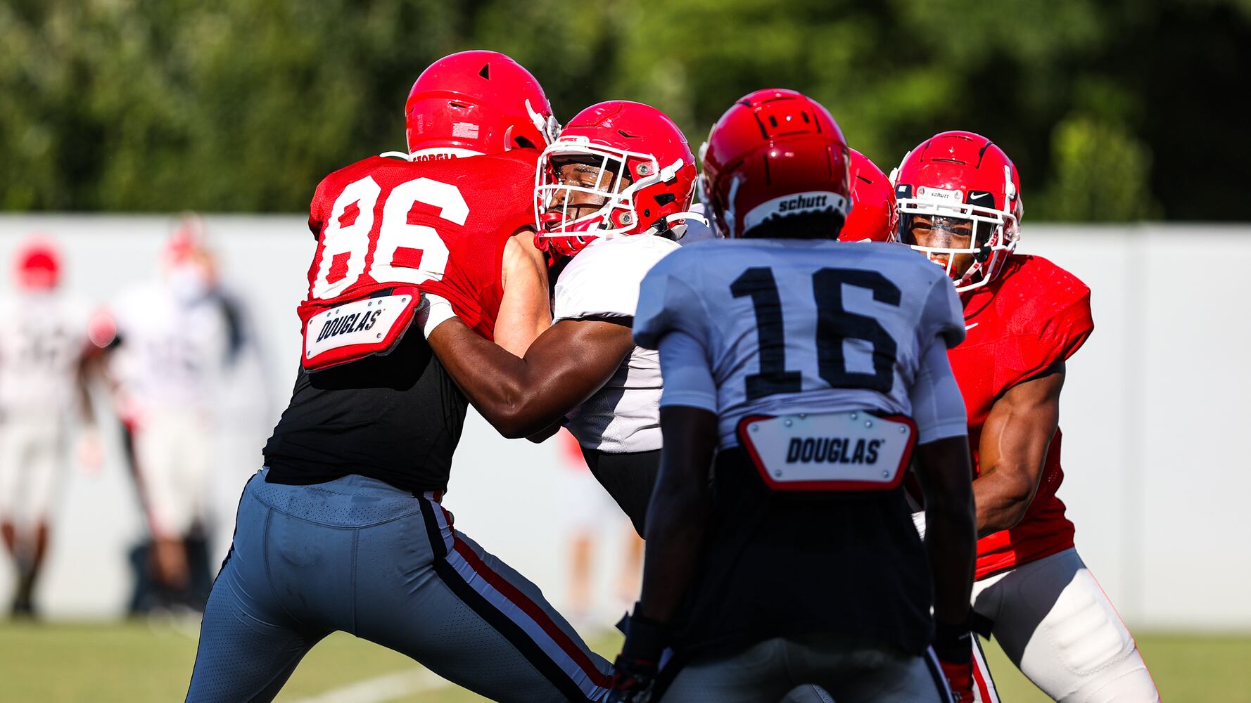 Georgia Bulldogs