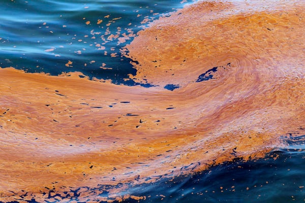 FILE - Oil floats in the waters of Chandeleur Sound, La., on May 4, 2010, two weeks after the explosion of the Deepwater Horizon oil rig in the Gulf of Mexico. (AP Photo/Eric Gay, File)