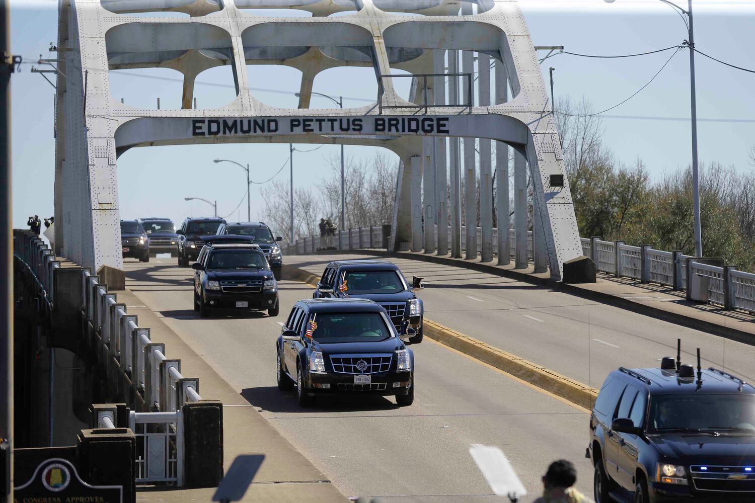 Selma 50th