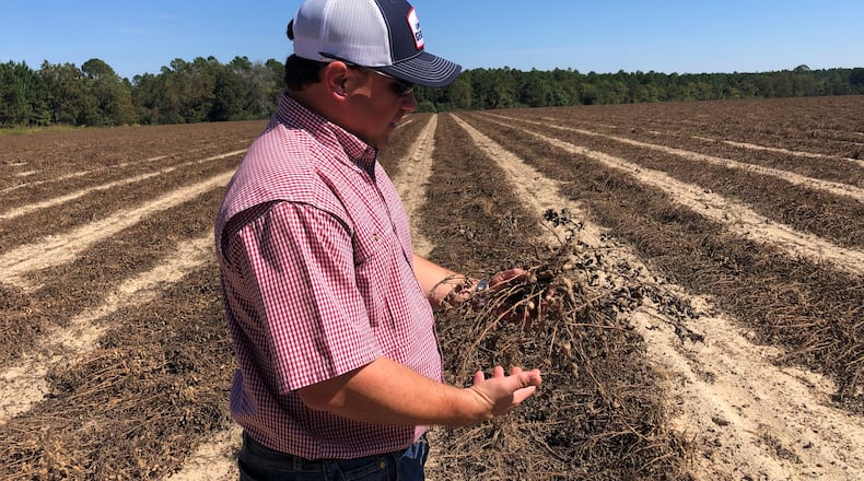 State Sen. Tyler Harper inspects his peanut crop during the harvest on his family's farm in Ocilla. He's running for state agriculture commissioner. “I love agriculture. I love the industry,” he said. “This is just another way to continue to be involved in it and give back, give back in some way to an industry that’s given me a lot of opportunities in my life. I want more people to have them, too.”