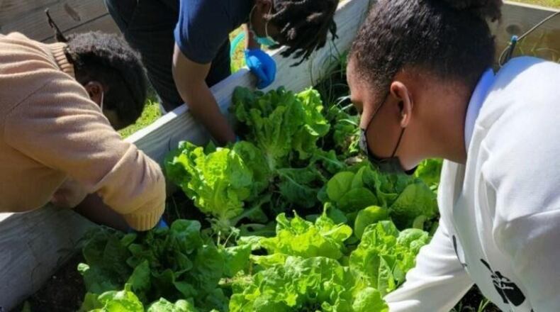 Flint River Fresh has received a $25,000 grant from Archer-Daniels Midland Company through the ADM Cares program to expand its successful holistic Farm to School model focusing on agriculture and conservation education among students in southwest Georgia. (Courtesy of Flint River Fresh)