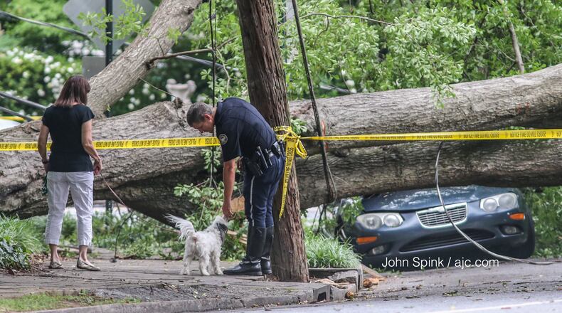 A tree that fell in Midtown did some damage Thursday morning.