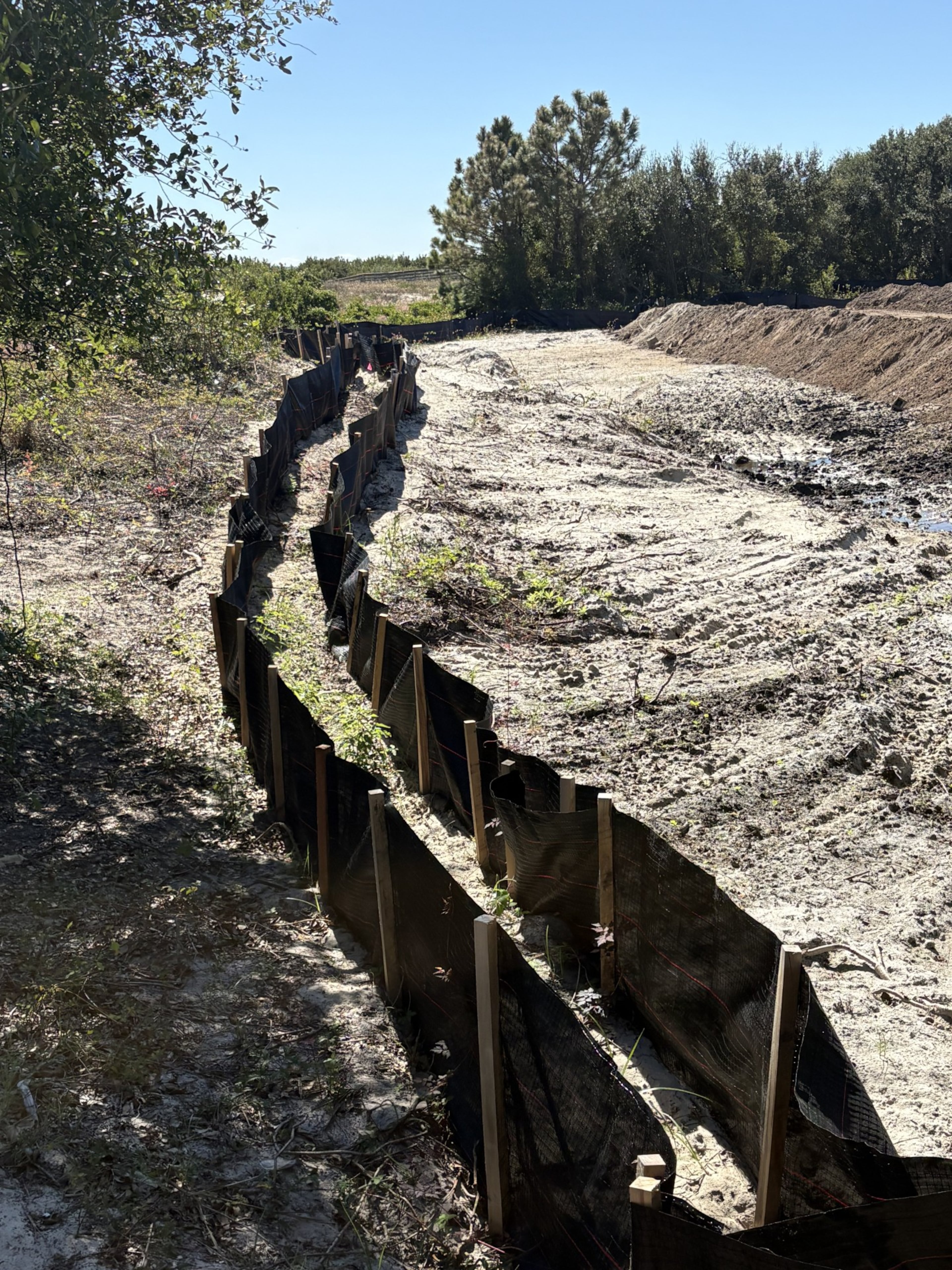 Construction on a beautification project at St. Simons Island's Coast Guard Park began in September and includes expanding the park's footprint along a dune field that lies between the park and East Beach. (Photo provided)