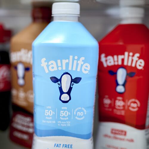 Fairlife ultra-filtered fat free, whole and chocolate milk are displayed on a grocery shelf in Germantown, N.Y. Fairlife, which uses a specialized filtering process to boost protein and cut sugar and lactose in its milk products, helped spark the modern protein craze that's unfolded alongside the rise of Ozempic and other GLP-1 drugs. (Gabby Jones/Bloomberg via Getty Images 2024)