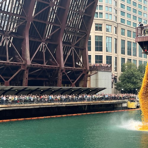 More than 90 thousand rubber ducks are dropped into the Chicago River as part of the annual Chicago Duck Derby for Special Olympics Illinois in Chicago, Thursday, Aug. 6, 2026. (AP Photo/Cybele Mayes-Osterman)