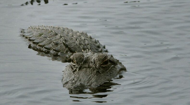 (Photo by Mark Wilson/Getty Images)