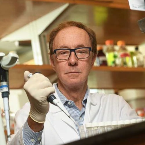 George Painter is a professor in the Department of Pharmacology and Chemical Biology at Emory University School of Medicine and director of the  Emory Institute for Drug Development and CEO of Drug Innovation Ventures at Emory (DRIVE). DRIVE developed EIDD-2801, also known as molnupiravir, an anti-viral pill for COVID-19. PHOTO CREDIT: Emory University.