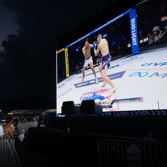 Attendees watch the first match at the UFC Fan Fest on the White House Ellipse ahead of the fights on the South Lawn, Sunday, June 14, 2026, in Washington. (AP Photo/Allison Robbert)