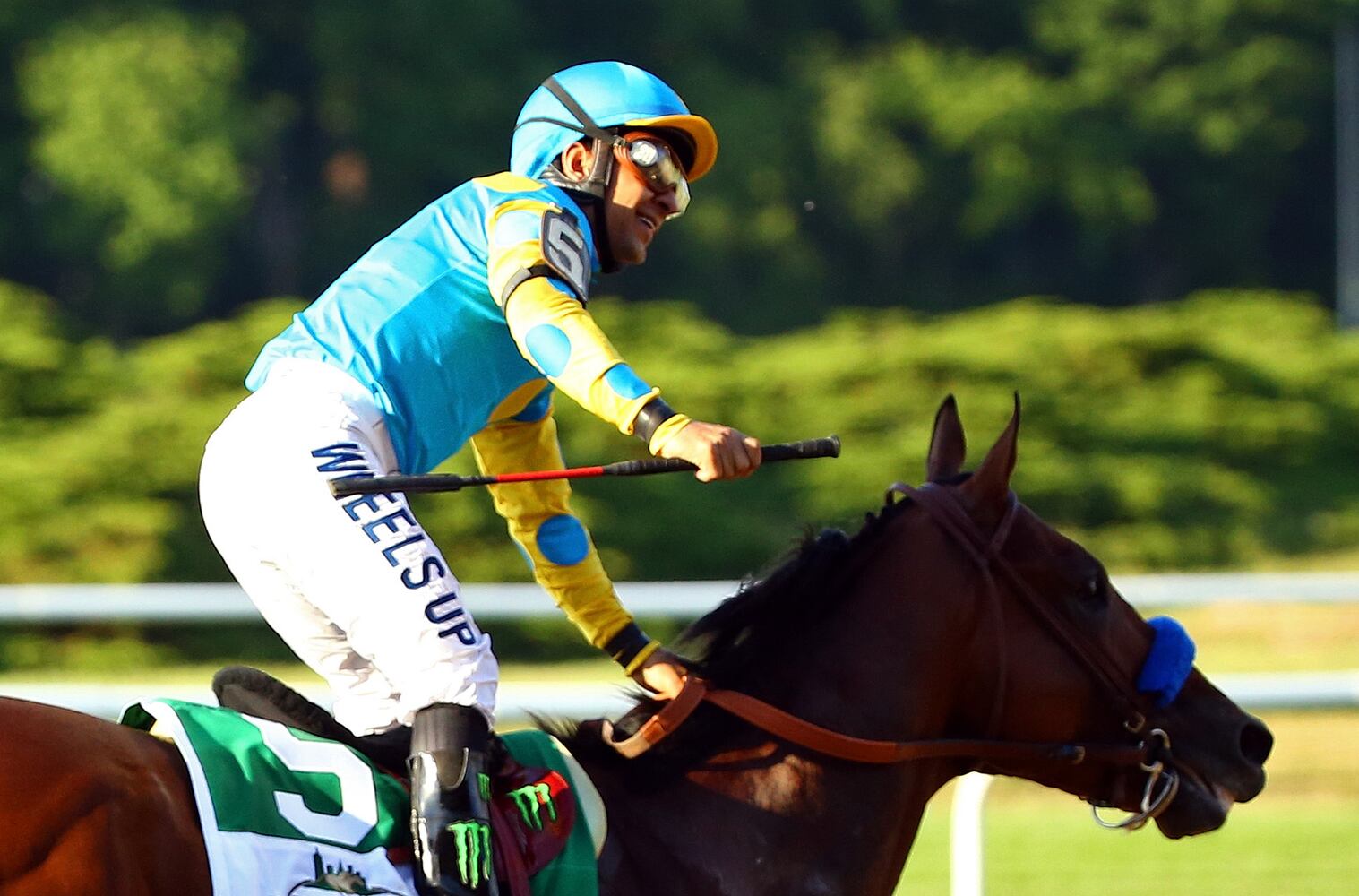 American Pharoah wins