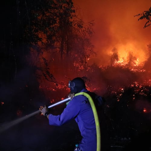 A firefighter attempts to extinguish a wildfire burning through a peatland field in Sampit, Central Kalimantan, Indonesia, Monday, Aug. 24, 2026. (AP Photo/Andri Rizky Agustian)