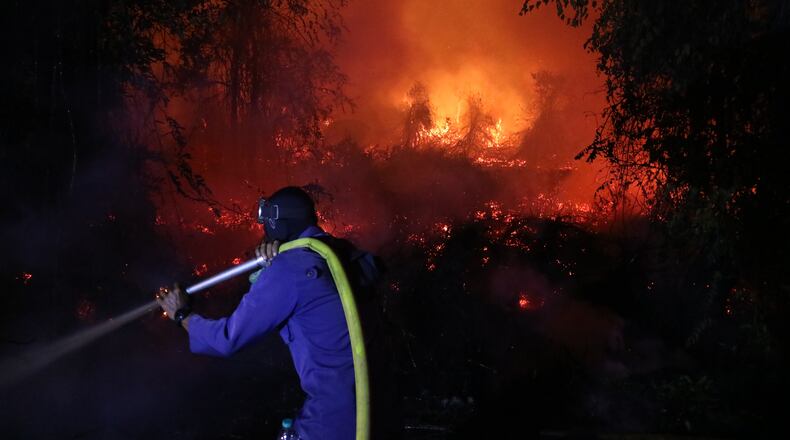 A firefighter attempts to extinguish a wildfire burning through a peatland field in Sampit, Central Kalimantan, Indonesia, Monday, Aug. 24, 2026. (AP Photo/Andri Rizky Agustian)