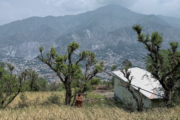 A villager walks through a wheat field during a government's organized trip for media to Bella Noor Shah, a mountainous village near Muzaffarabad, the capital of Pakistan administered Kashmir, Monday, May 5, 2025. (AP Photo/Muhammad Yousuf, Pool)