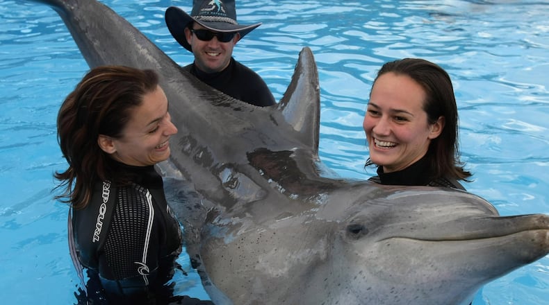 A Florida dolphin is predicting that Alabama will win Monday night's national college football championship game.