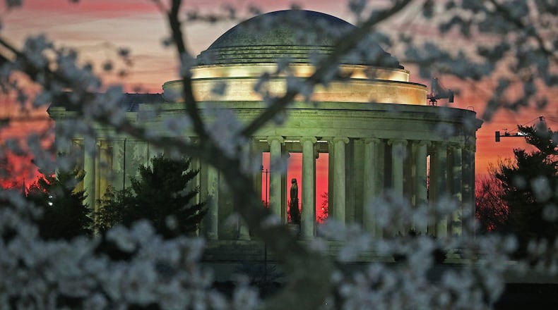 WASHINGTON, DC - MARCH 24: Blooming Cherry Blossoms are visible as the early morning sun rises behind the Jefferson Memoriall, March 24, 2016 in Washington, DC. The National Park Service has predicted that the Cherry Blossom trees that surround the Tidal Basin will reach peak bloom later today. (Photo by Mark Wilson/Getty Images)