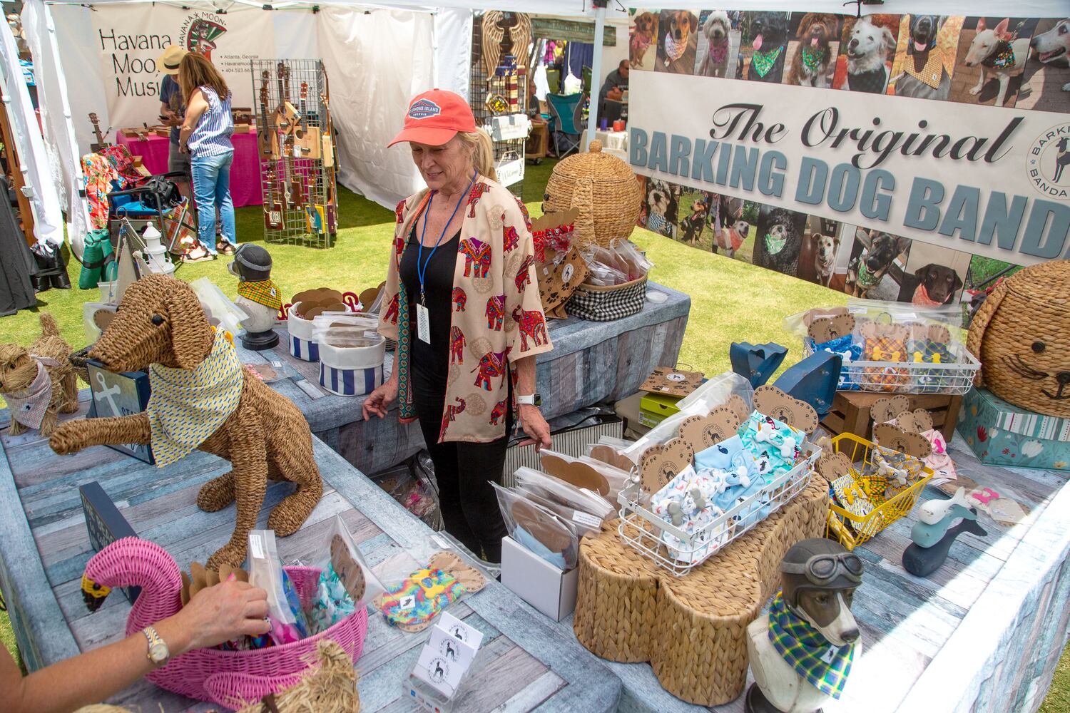 Duluth Arts Festival