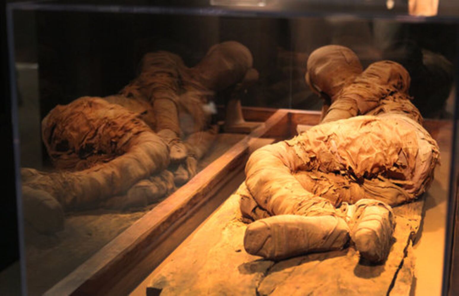 Old Kingdom mummy makes its debut at the Carlos Museum