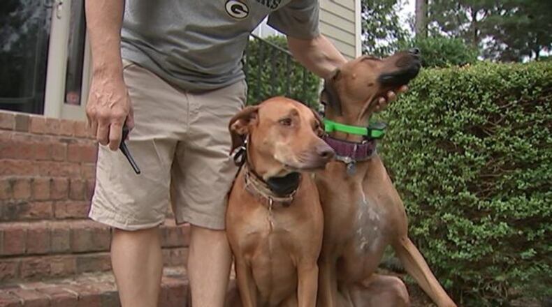 A man was running with his dogs Saturday when they were attacked by a coyote. (Photo: WSOCTV.com)