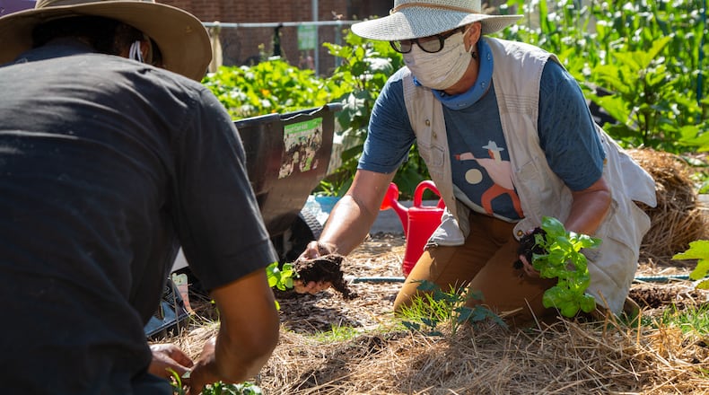 Food Well Alliance gardeners work together in the Firdous Garden at the Mohammed Schools of Atlanta on July 14, 2020. PHIL SKINNER FOR THE ATLANTA JOURNAL-CONSTITUTION.
