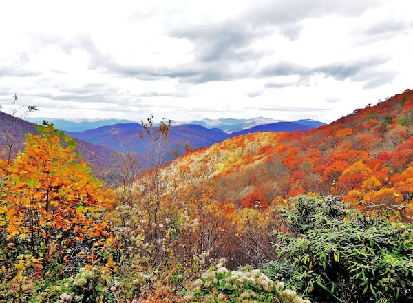 The Chattahoochee National Forest in the Blue Ridge Mountains in Union County. (Courtesy of Charles Seabrook)
