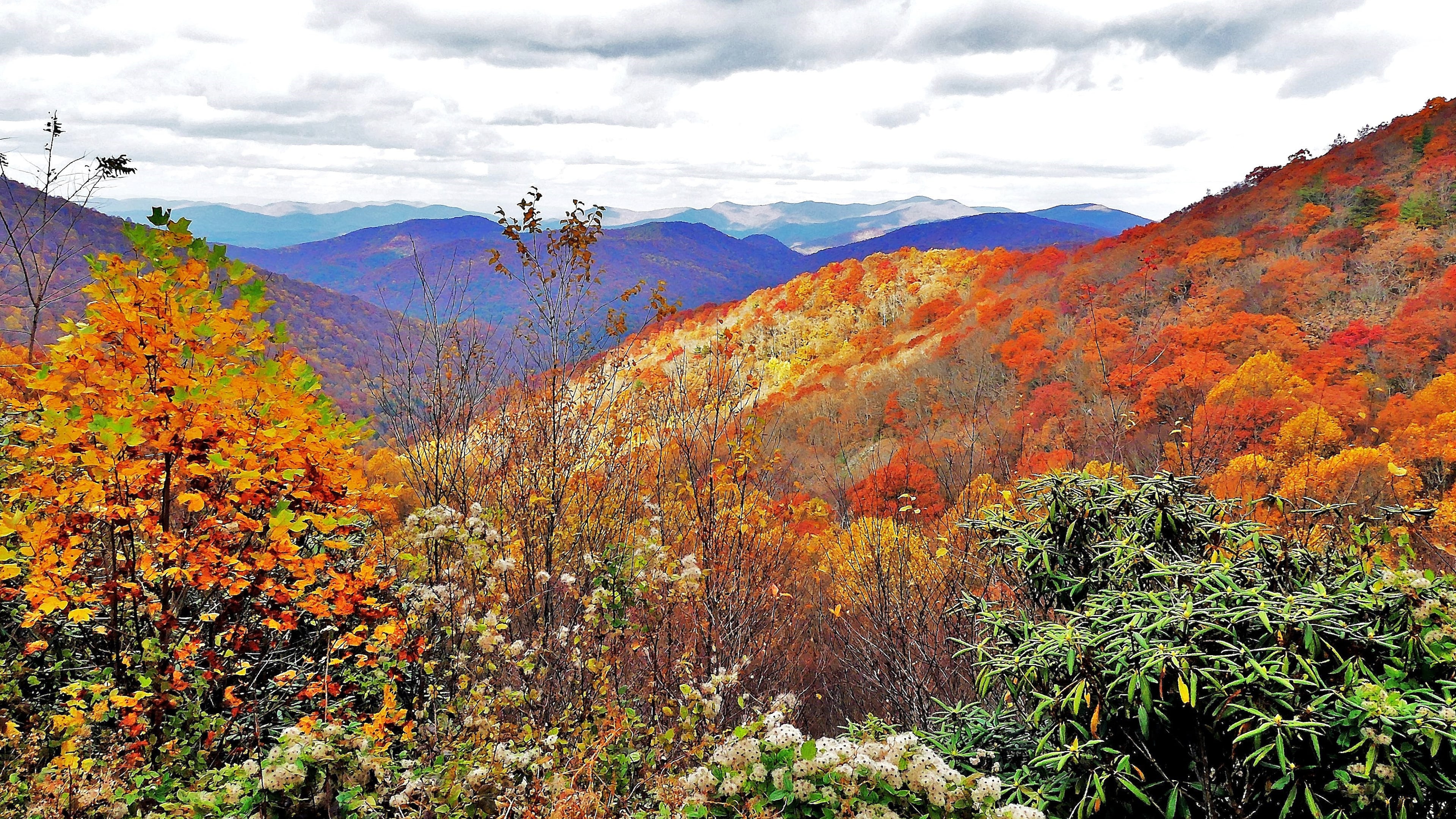 Thanksgiving is a time to give thanks for Georgia’s beauty, splendor and natural wonders, such as the Chattahoochee National Forest in the Blue Ridge Mountains of Union County. (Courtesy of Charles Seabrook)
