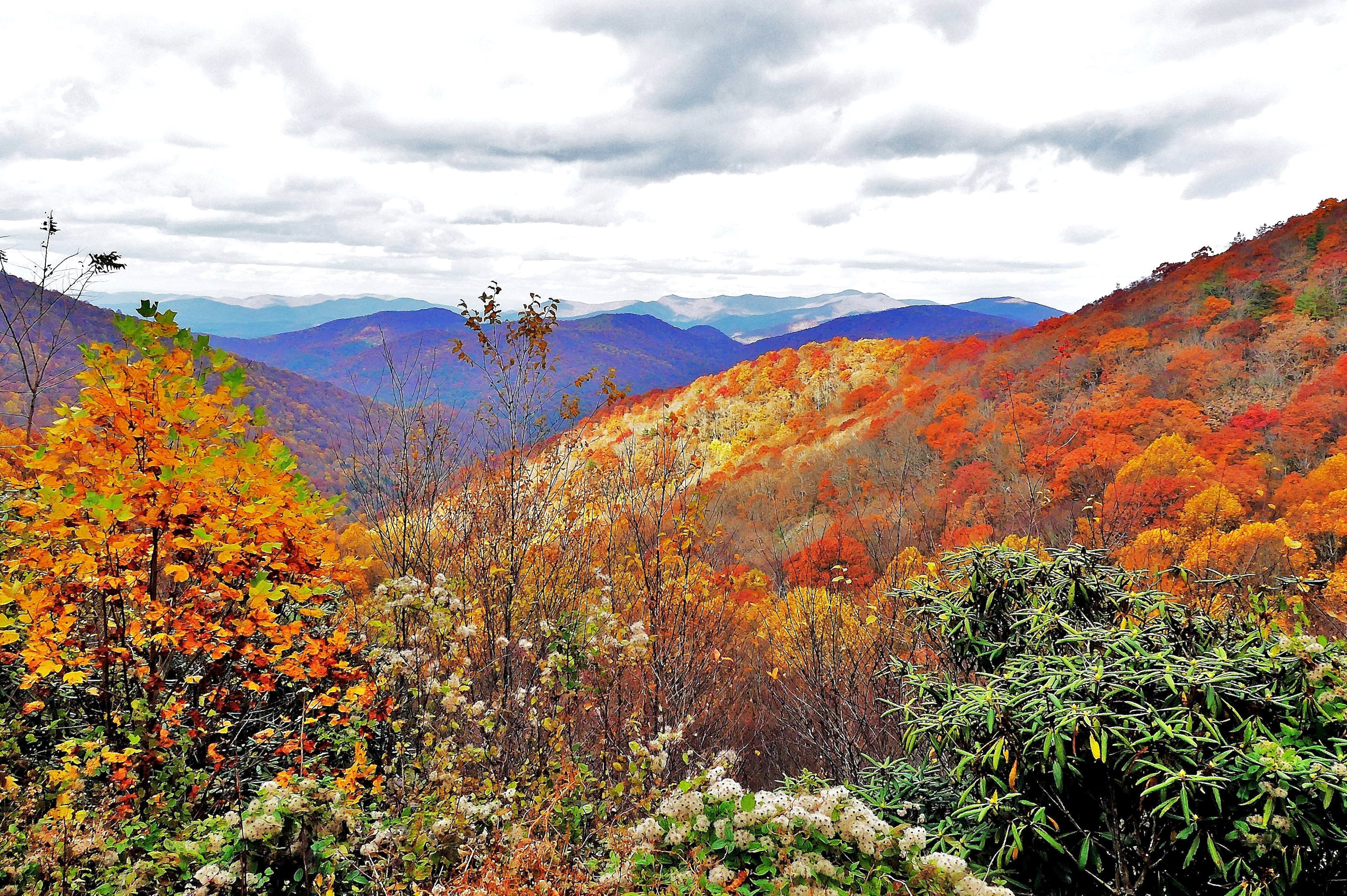 Chattahoochee National Forest, Union County