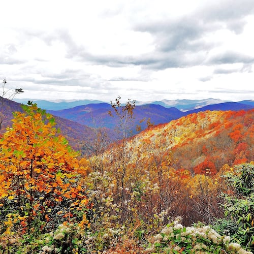 Thanksgiving is a time to give thanks for Georgia’s beauty, splendor and natural wonders, such as the Chattahoochee National Forest in the Blue Ridge Mountains of Union County. (Courtesy of Charles Seabrook)