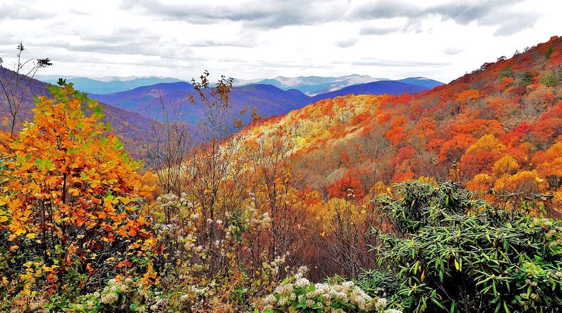 Thanksgiving is a time to give thanks for Georgia’s beauty, splendor and natural wonders, such as the Chattahoochee National Forest in the Blue Ridge Mountains of Union County. (Courtesy of Charles Seabrook)