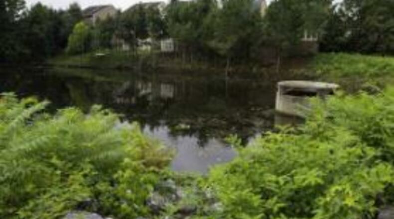 An alligator was located in a retention pond in a Forsyth County subdivision. (Credit: The Gainesville Times)