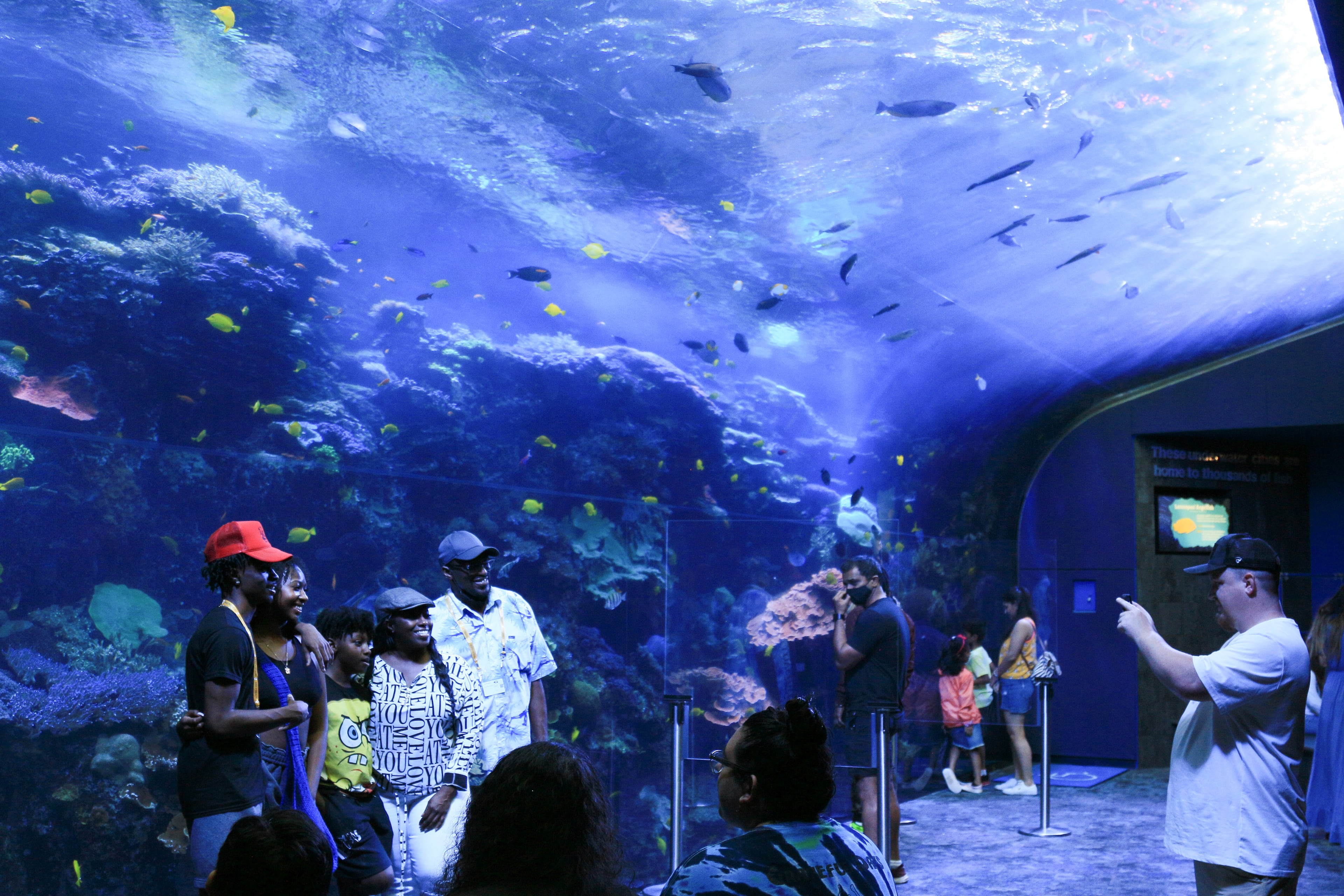 The Georgia Aquarium in Downtown on May 30, 2022