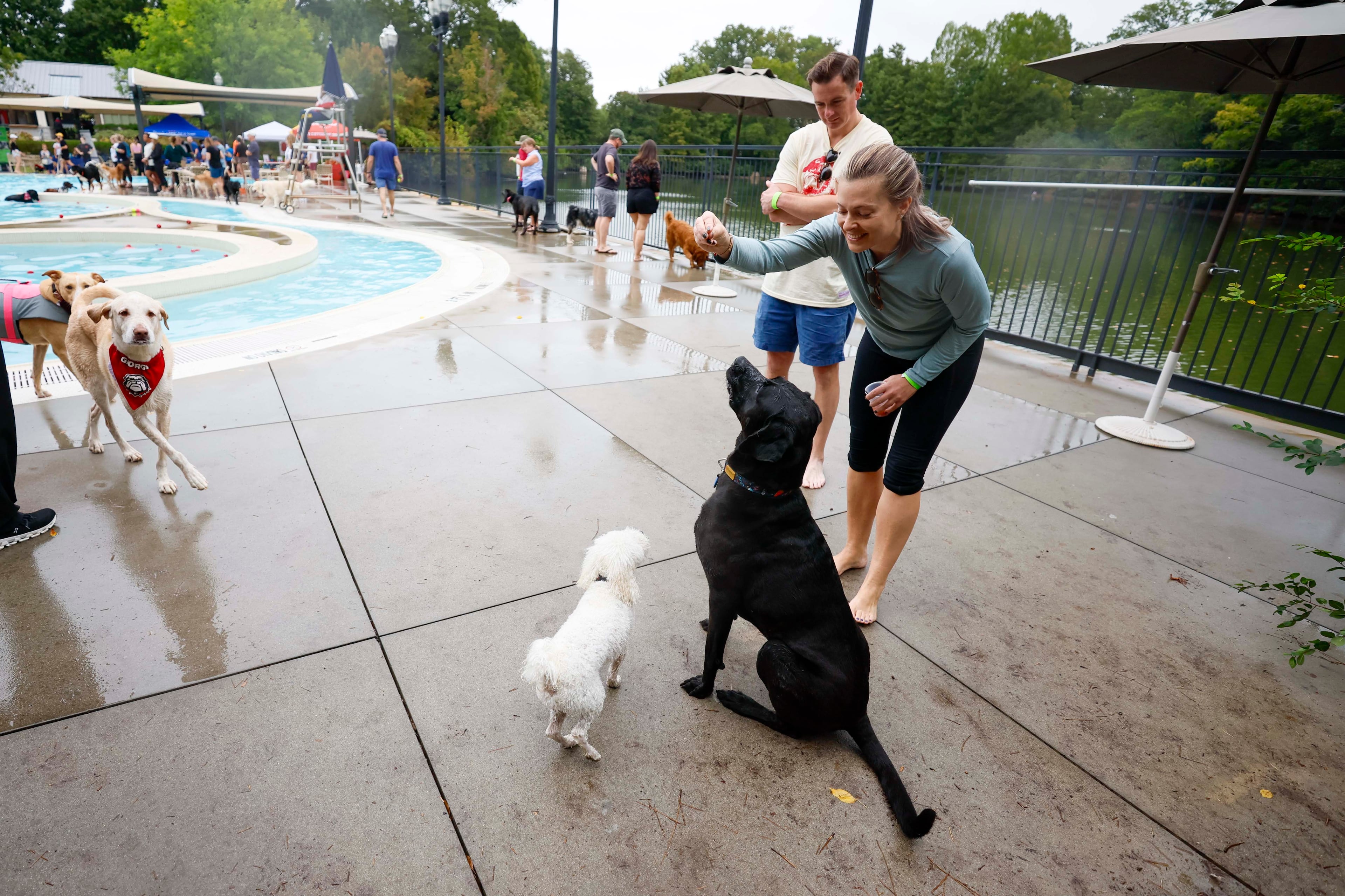 Emely Ward pretends to hold a treat for her dogs Forest (5), right, and Frank (2), as Joe Ward watches during the XV annual Splish Splash Doggie Bash at Piedmont Park on Sunday, October 5, 2025. The proceeds support funding for Piedmont Park Dog Parks.(Miguel Martinez/ AJC)