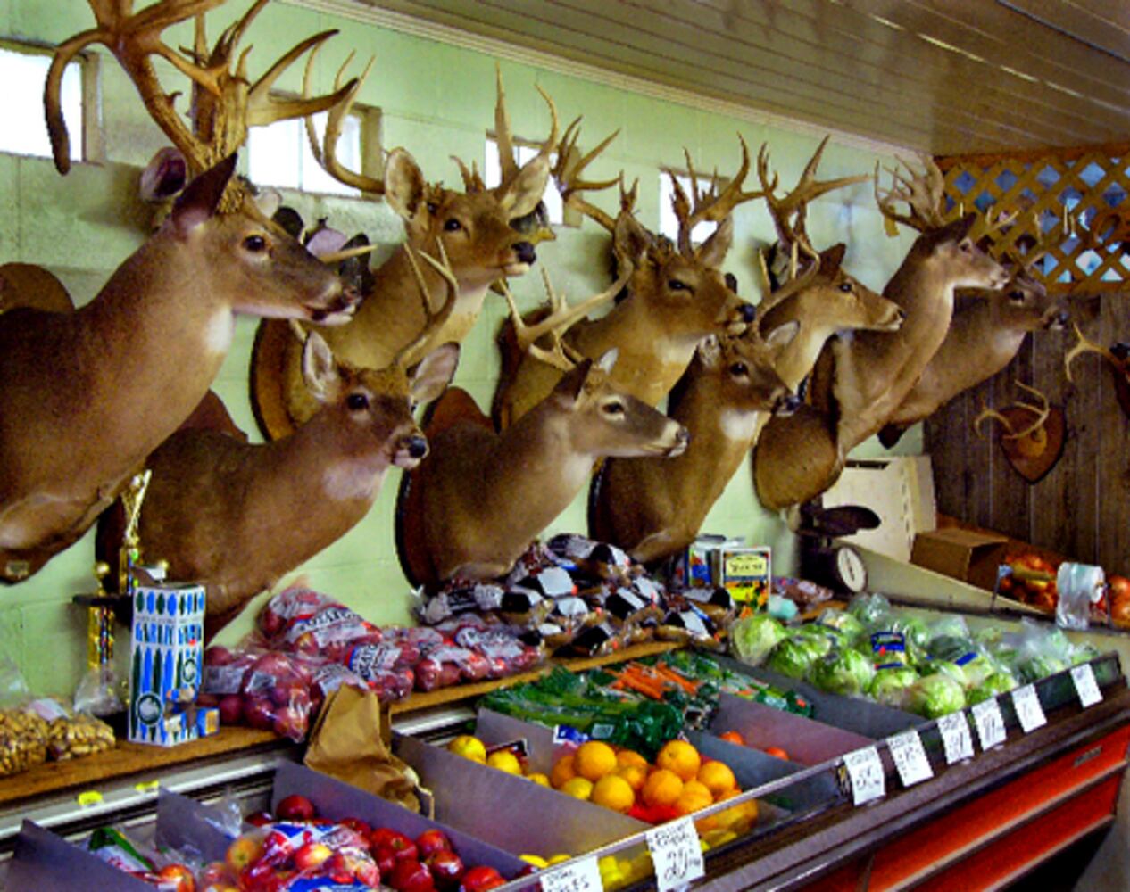 "Slow Exposures" leaves its imprint on Pike County