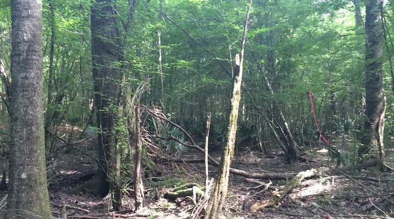 Land near Augusta slated for construction of the Palmetto Pipeline. AJC/Greg Bluestein