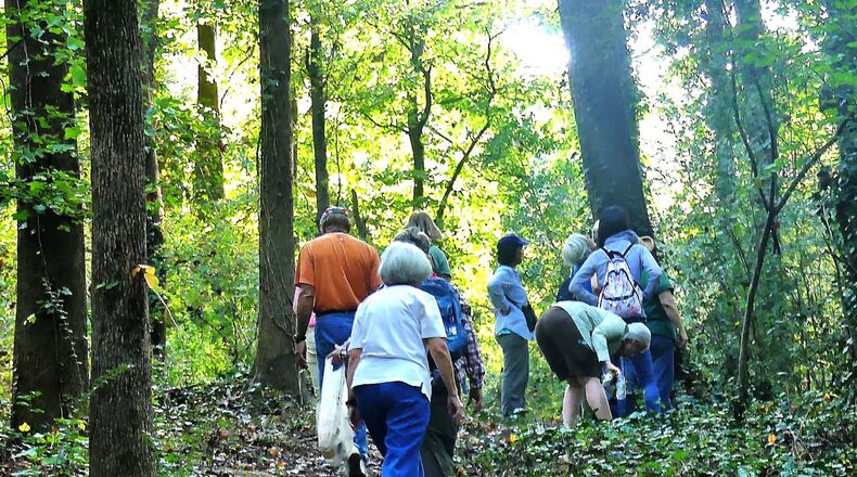 Birdwatchers take a walk in Friendship Forest Wildlife Sanctuary in Clarkston. Several new studies show that strolling in the outdoors is good for one’s mental health as well as physical health. Photo Credit: Charles Seabrook