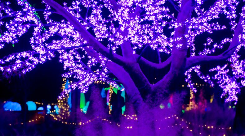 Atlanta Botanical Garden, Garden Lights, Holiday Nights Photo by Joey Ivansco
