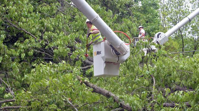 Three threes must be removed and two, trimmed as a safety measure at Wills Park’s Wacky World in Alpharetta. AJC FILE