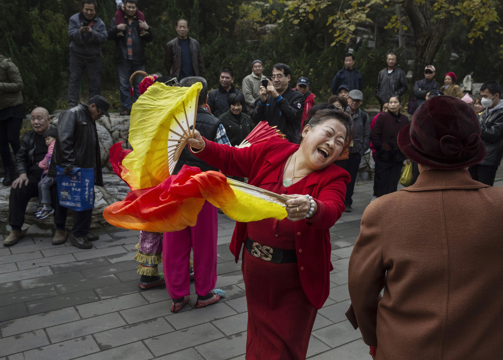 Photos of the Week, November 20, 2015