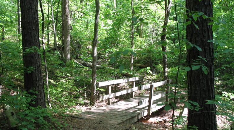Parents and their children can explore native wildlife by the light of the moon during an Autry Mill Spring Night Hike. (Courtesy Autry Mill Nature Preserve)