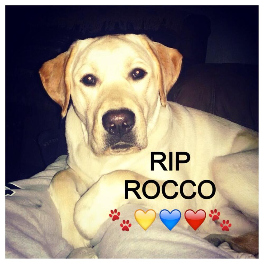 RIP Rocco