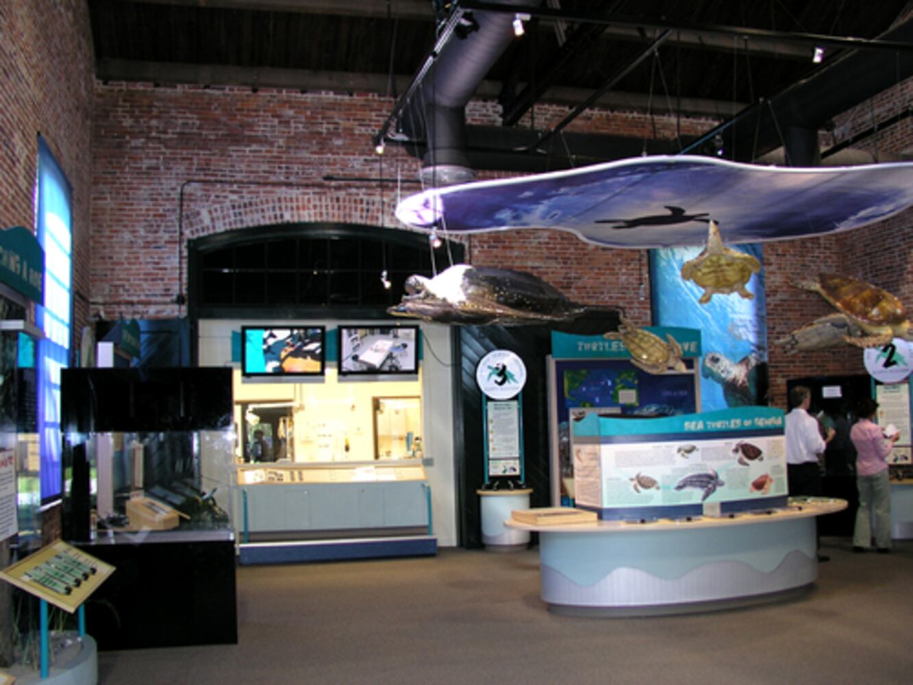 Jekyll Island - where sea turtles go for rehab