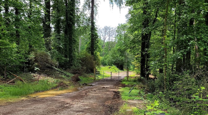 Jane Sparks walked down this dirt road off Norman Road in DeKalb County and was attacked by a pack of stray dogs. (Courtesy)