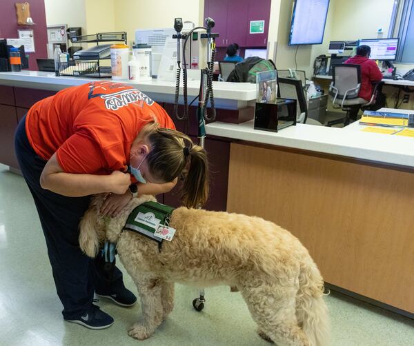Nurse Melissa Bailey cuddles with Tidings at Children's Healthcare of Atlanta Egleston in Decatur. 
PHIL SKINNER FOR THE ATLANTA JOURNAL-CONSTITUTION