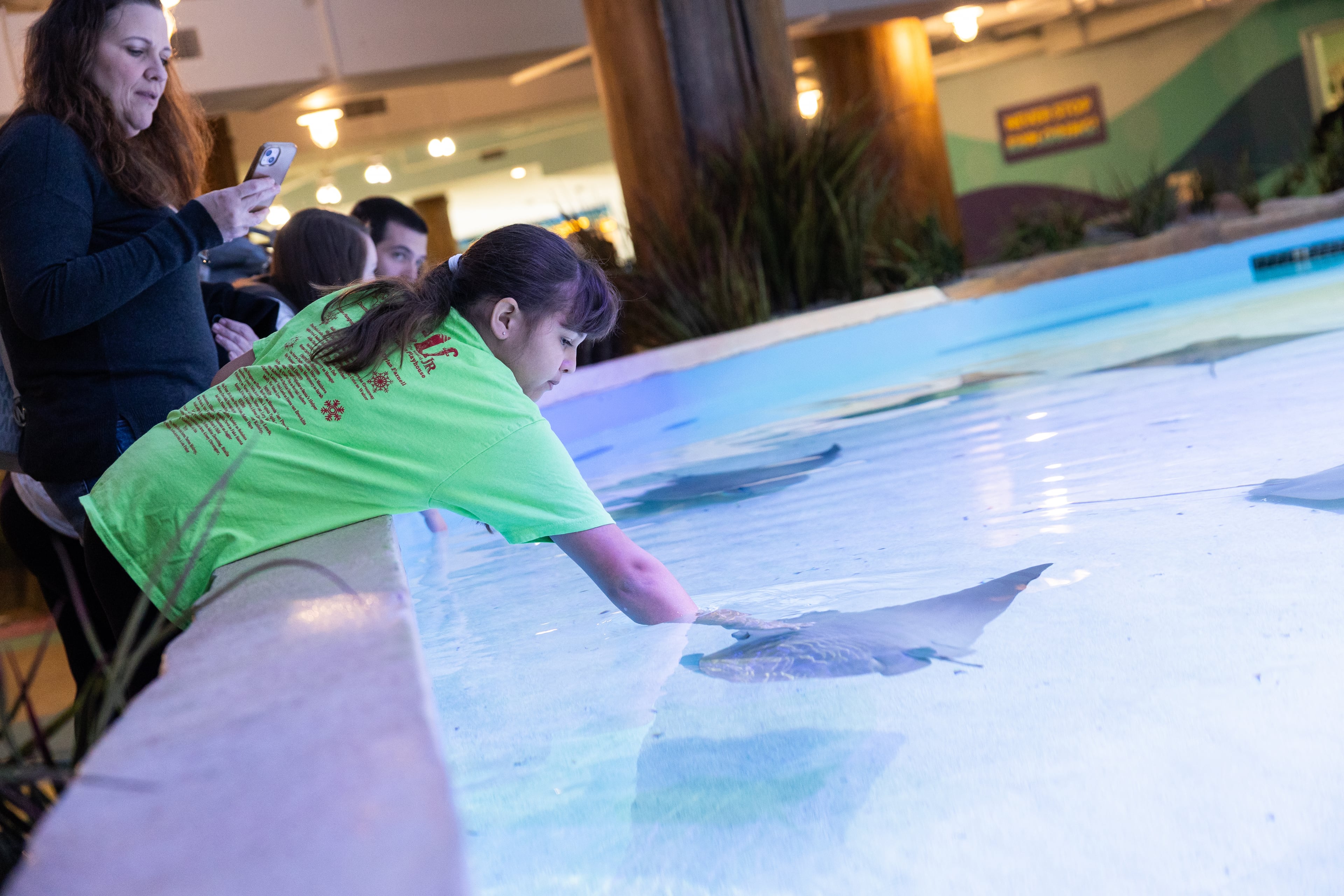 A girl reaches into George Aquarium's touch pool to feel the silky texture of a stingray. (Courtesy of Addison-Hill)
