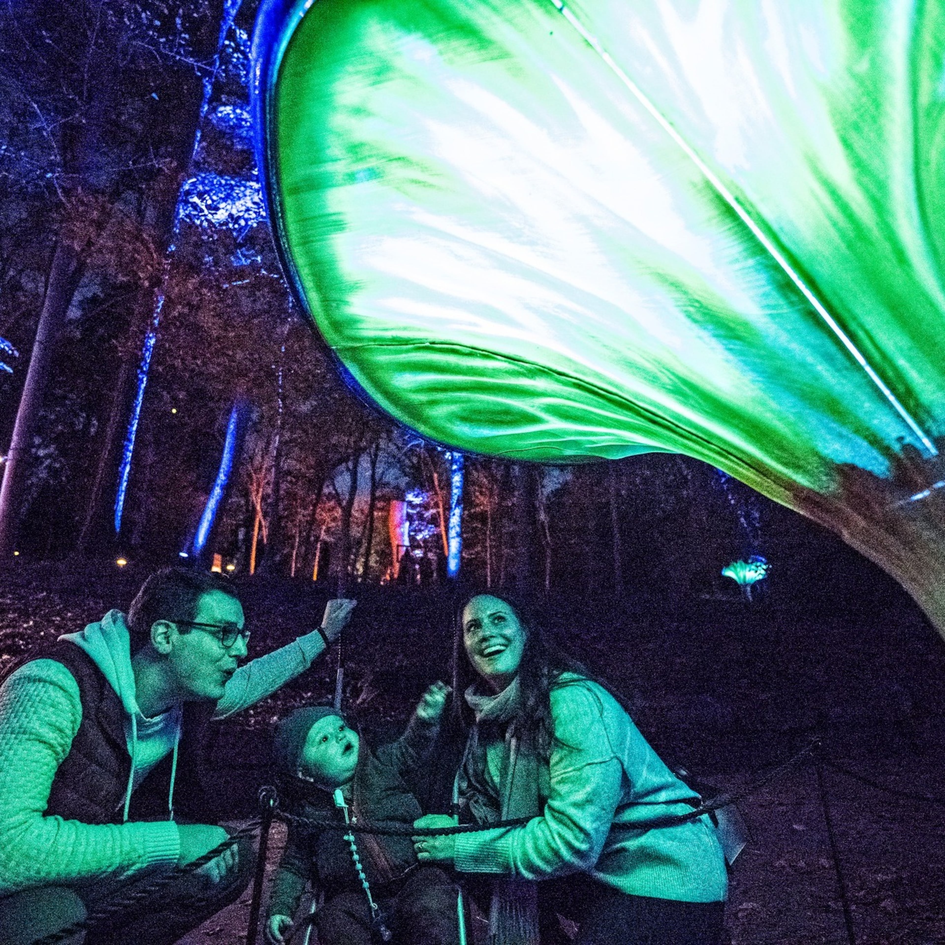 WildWoods: Aglow at Fernbank museum of natural history creates a nighttime wonderland filled with larger-than-life sights on Friday and Saturday plus additional dates. (Photo courtesy of Fernbank)